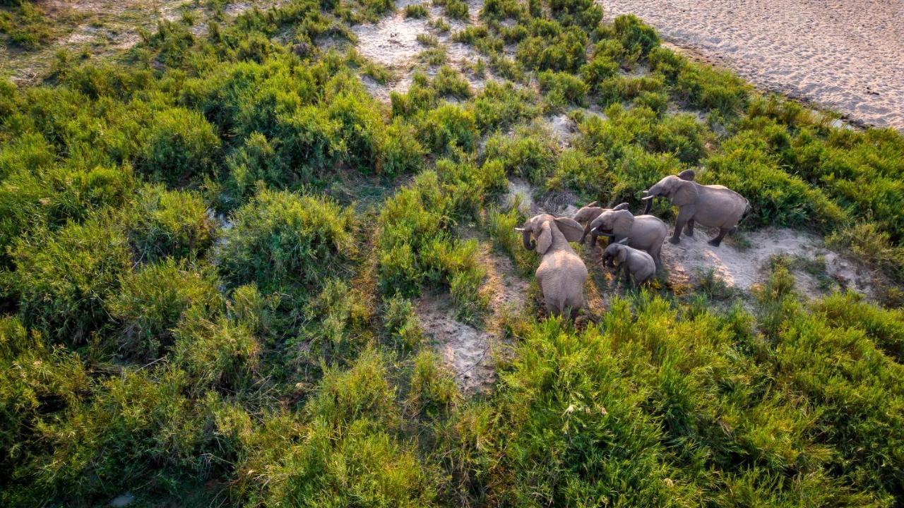 Buckler'S Africa Lodge Kruger Park Komatipoort Exteriér fotografie