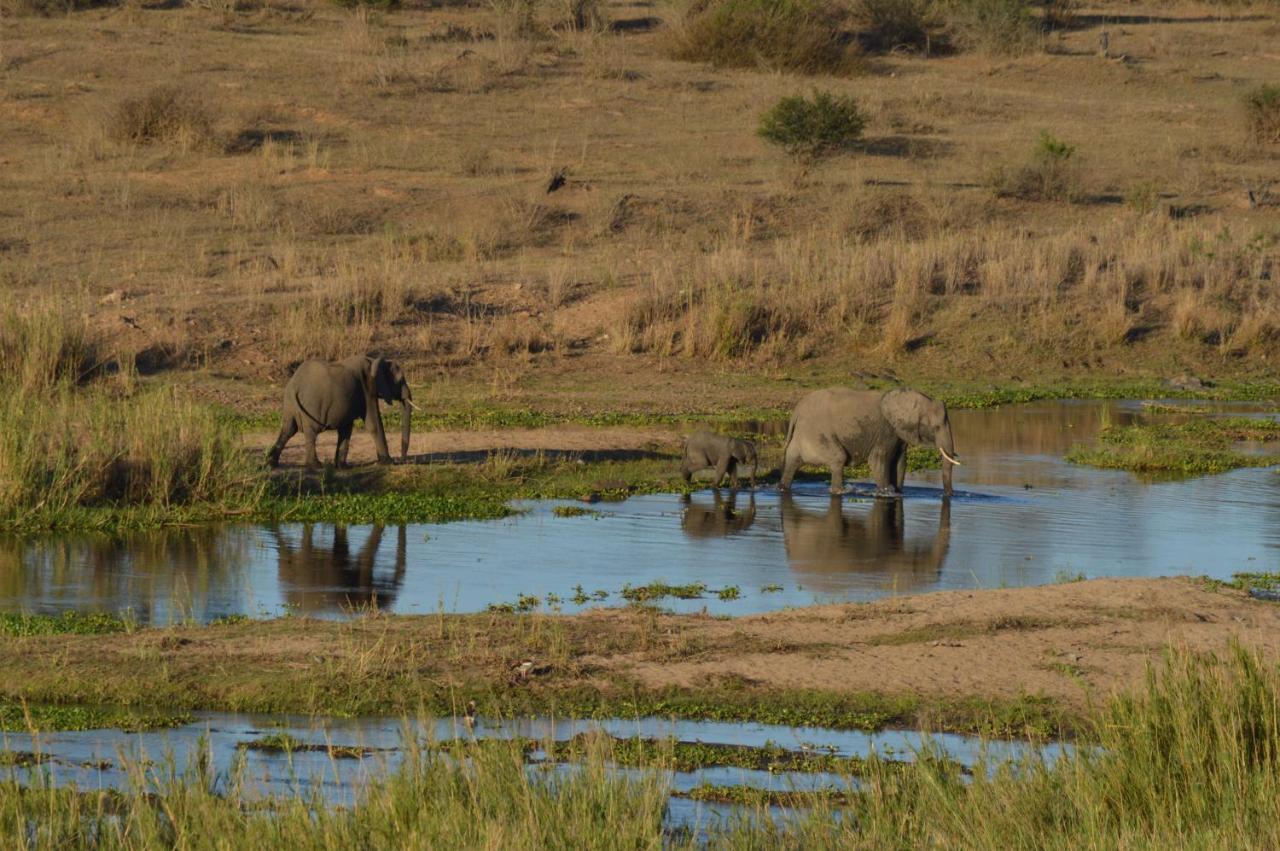 Buckler'S Africa Lodge Kruger Park Komatipoort Exteriér fotografie